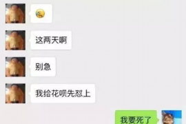 烟台债务清欠服务